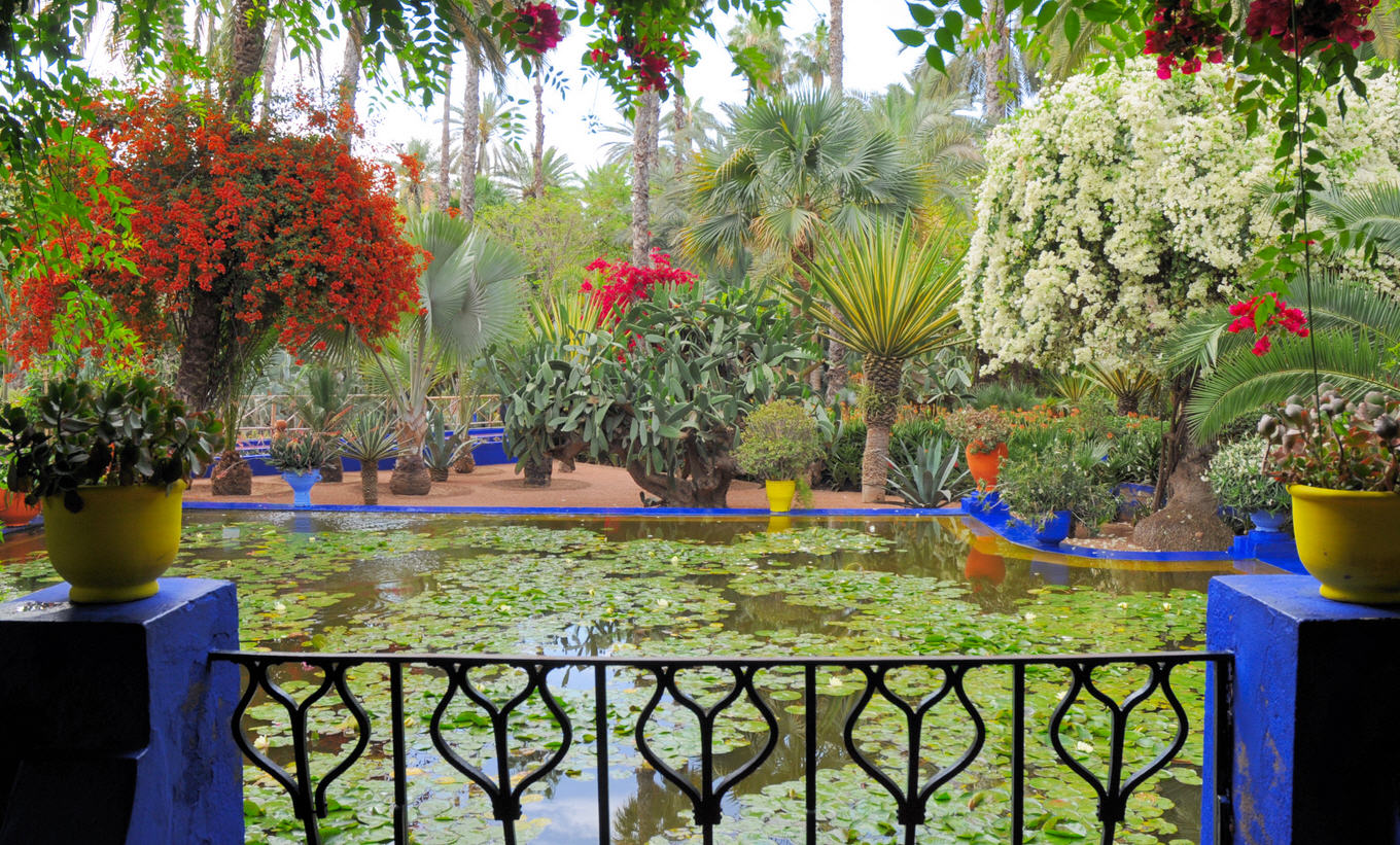 Le Jardin Majorelle Visiter Marrakechcom